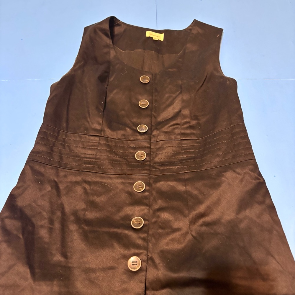 The Limited Black Sleeveless Button-Down Dress - Picture 6 of 12